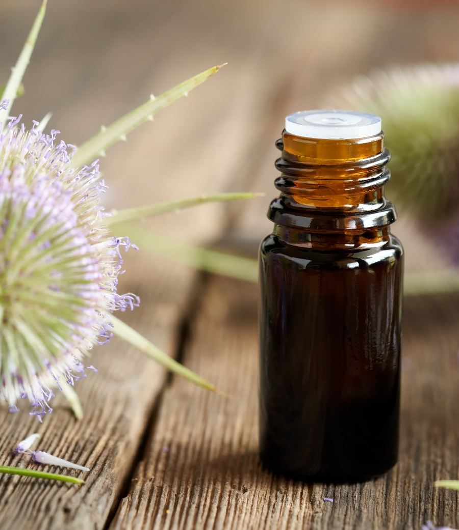 Elementen van Lyme Natuurlijk Genezen drie fasen methodiek tinctuur